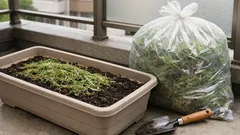 抜いた雑草は捨てないでOK 草マルチで庭の乾きと手間を減らすコツ